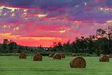 Bales At Sunrise_35511-6